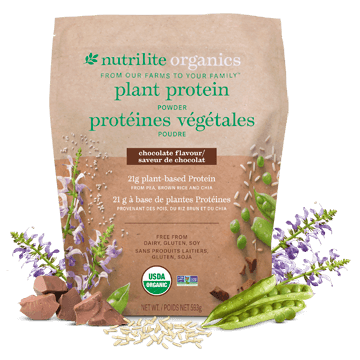 Poudre de protéines végétales Nutrilite<sup>MC</sup> Bio – Chocolat